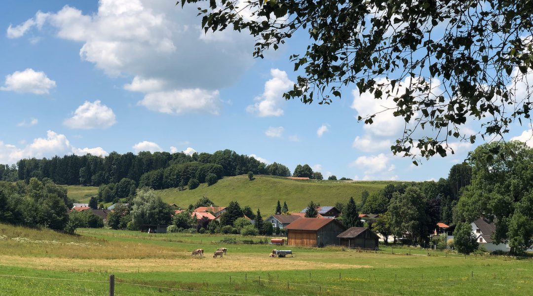 Eine typische Allgäu-Hügellandschaft. Mit Kühen, Scheunen und allem drum und dran.