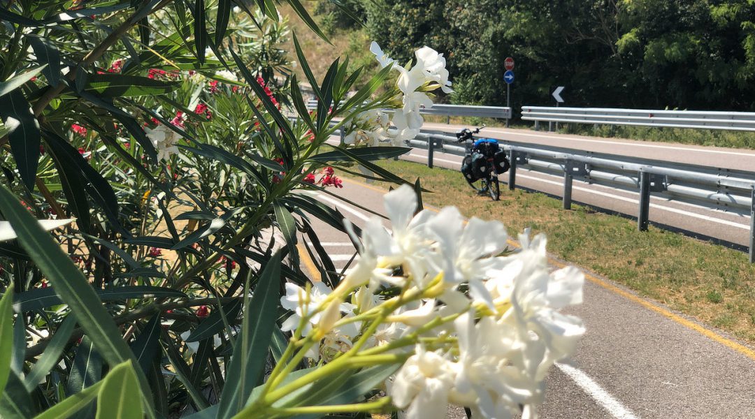 Der Etschtal-Radweg führt an einer blühenden Oleander-Allee vorbei. Mein Schnauferl macht Pause.
